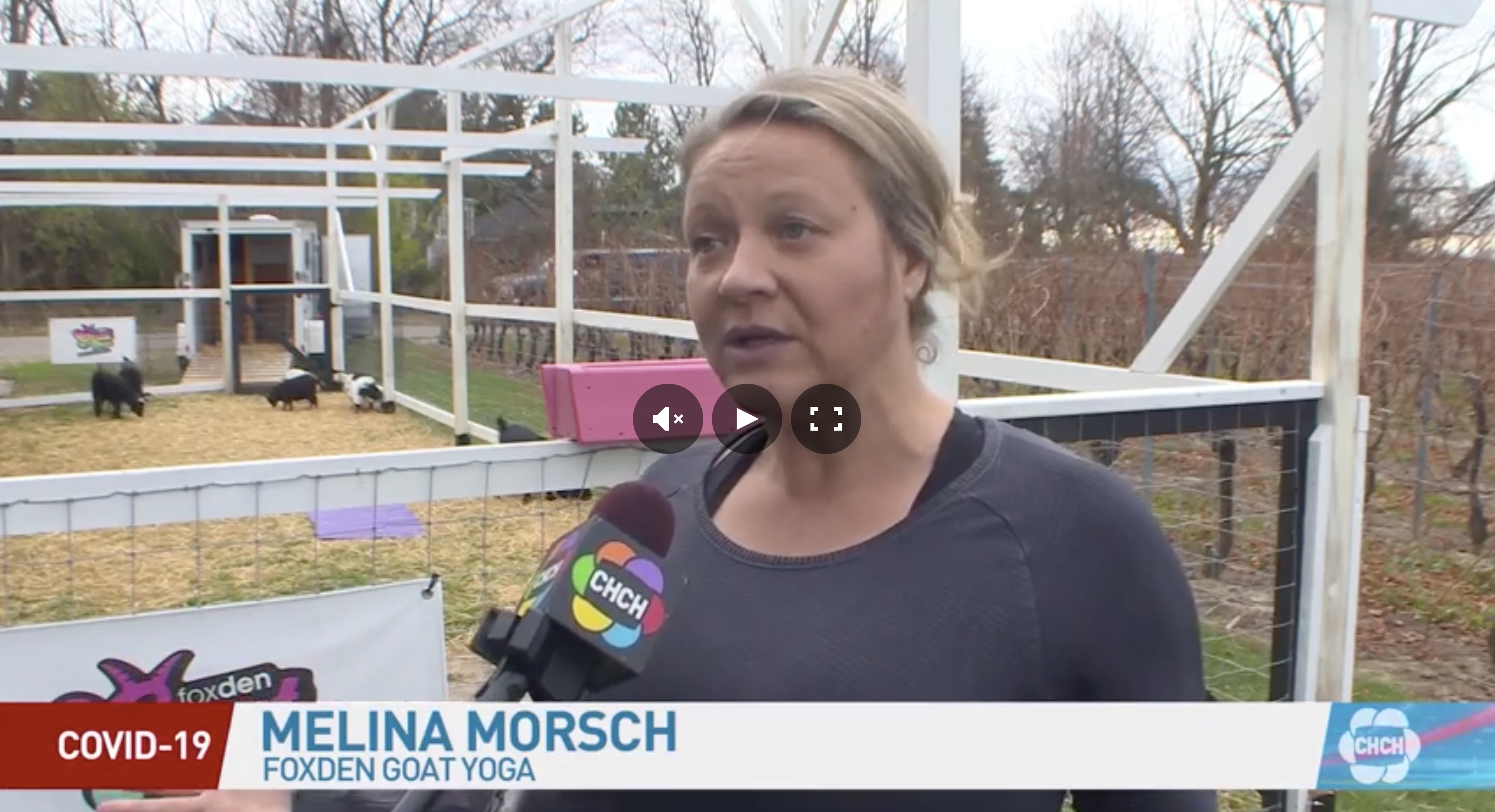 Melina Morsch Goat Yoga Interview on CHCH TV